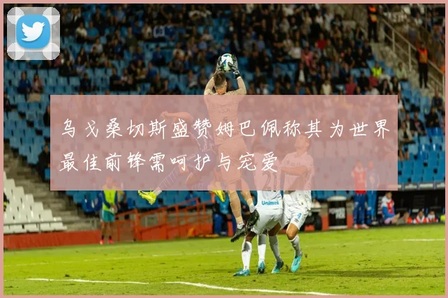 乌戈桑切斯盛赞姆巴佩称其为世界最佳前锋需呵护与宠爱